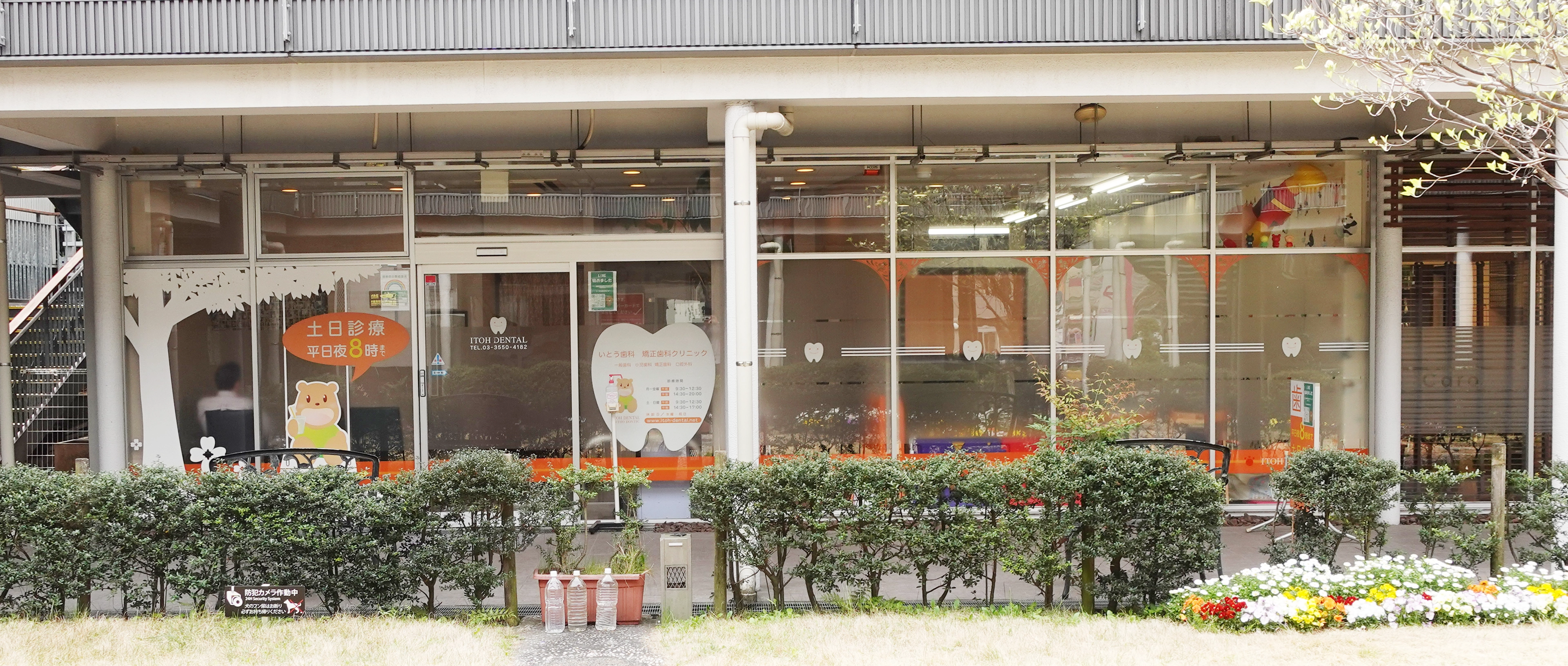 診療案内